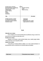 Referāts 'Sociālā gadījuma risinājums', 8.