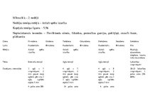 Konspekts 'Mēneša treniņu plāns ielu vingrošanā', 6.