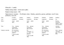 Konspekts 'Mēneša treniņu plāns ielu vingrošanā', 8.