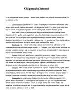 Referāts 'Septiņi pasaules brīnumi ', 7.