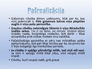 Prezentācija '20. gadsimta galvenās idejas', 24.