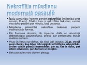 Prezentācija '20. gadsimta galvenās idejas', 27.