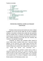 Referāts 'Žurnālists un autortiesības', 8.