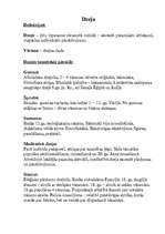 Konspekts 'Dzeja', 1.