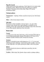 Konspekts 'Dzeja', 3.