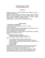 Konspekts '“Kultūras teorija un vēsture” Pilna laika klātiene (PLK)  Eksāmens', 1.