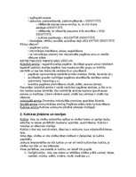 Konspekts '“Kultūras teorija un vēsture” Pilna laika klātiene (PLK)  Eksāmens', 3.