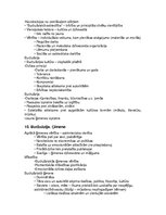 Konspekts '“Kultūras teorija un vēsture” Pilna laika klātiene (PLK)  Eksāmens', 9.