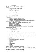 Konspekts '“Kultūras teorija un vēsture” Pilna laika klātiene (PLK)  Eksāmens', 12.