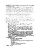 Konspekts '“Kultūras teorija un vēsture” Pilna laika klātiene (PLK)  Eksāmens', 13.