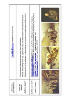 Konspekts 'Krievija 19.gadsimta pirmajā pusē. Pirmā daļa', 11.