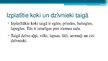 Prezentācija 'Taiga', 8.