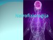 Prezentācija 'Neirofizioloģija', 1.