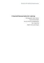 Eseja 'Three Important Success Factors for a Start-up', 1.
