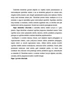 Konspekts 'Pamatizglītības iegūšanas iespējas tālmācības ceļā Latvijā', 5.