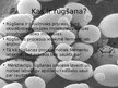 Prezentācija 'Rūgšana', 3.
