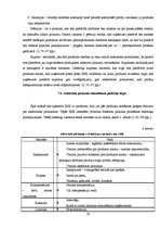 Referāts 'Mārketinga komunikāciju sistēma', 20.