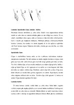 Referāts 'Izdzīvošana mežā', 7.