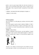 Referāts 'Izdzīvošana mežā', 8.