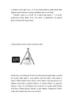 Referāts 'Izdzīvošana mežā', 9.