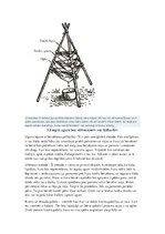 Referāts 'Izdzīvošana mežā', 11.