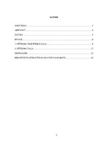 Referāts 'Drošības aspekti intubēta pacienta transportēšanai no operācijas zāles uz intens', 5.