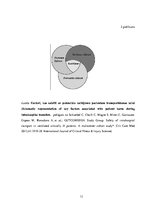 Referāts 'Drošības aspekti intubēta pacienta transportēšanai no operācijas zāles uz intens', 31.