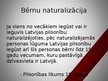 Prezentācija 'Pilsonības institūts Latvijā', 17.