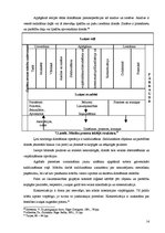 Referāts 'Didaktika', 14.