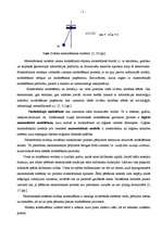 Referāts 'Ražošanas ekonomiskie modeļi', 5.