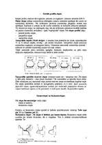 Referāts 'Riepu protektora dziļuma izmaiņas atkarībā no ekspluatācijas faktoriem', 5.