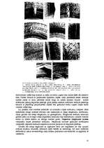 Referāts 'Riepu protektora dziļuma izmaiņas atkarībā no ekspluatācijas faktoriem', 10.