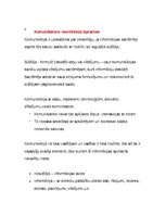 Konspekts 'Komunikācijas teorijas. Apkopojums', 17.