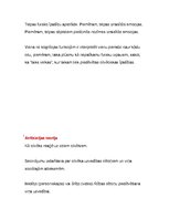 Konspekts 'Komunikācijas teorijas. Apkopojums', 19.