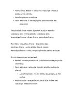 Konspekts 'Komunikācijas teorijas. Apkopojums', 29.