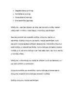 Konspekts 'Komunikācijas teorijas. Apkopojums', 46.