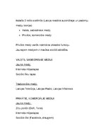 Konspekts 'Komunikācijas teorijas. Apkopojums', 60.