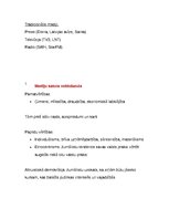 Konspekts 'Komunikācijas teorijas. Apkopojums', 61.