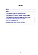 Referāts 'Uzņēmuma konkurētspējas novērtējums tā pozīciju nostiprināšanai tirgū', 2.