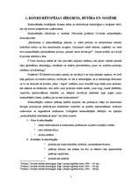 Referāts 'Uzņēmuma konkurētspējas novērtējums tā pozīciju nostiprināšanai tirgū', 5.