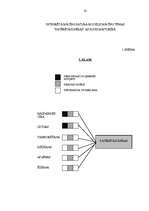 Diplomdarbs 'Tēmas "Patērētājzinības" integrētā mācību satura izveide mājturībā pamatskolā', 61.