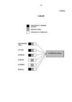 Diplomdarbs 'Tēmas "Patērētājzinības" integrētā mācību satura izveide mājturībā pamatskolā', 64.