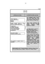 Diplomdarbs 'Tēmas "Patērētājzinības" integrētā mācību satura izveide mājturībā pamatskolā', 67.