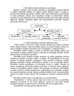 Referāts 'Rīgas pašvaldības izglītības budžeta analīze', 4.
