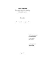 Referāts 'Motivācijas loma uzņēmumā', 1.