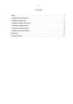 Referāts 'Uzņēmuma "Dzintars" vadīšanas sistēmas izpēte un novērtēšana', 2.