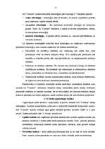 Referāts 'Uzņēmuma "Dzintars" vadīšanas sistēmas izpēte un novērtēšana', 12.