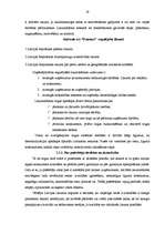 Referāts 'Uzņēmuma "Dzintars" vadīšanas sistēmas izpēte un novērtēšana', 19.