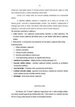 Referāts 'Uzņēmuma "Dzintars" vadīšanas sistēmas izpēte un novērtēšana', 31.