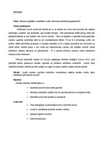 Referāts 'Interešu izglītības nodarbību nozīme radošuma attīstīšanai pamatskolā', 3.